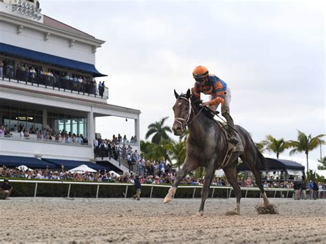 2023 Florida Derby G1 .